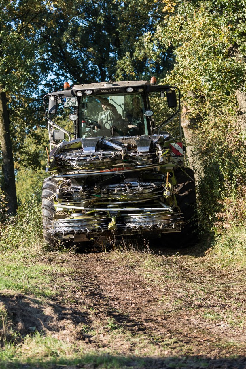 Bild 130 - Maisernte